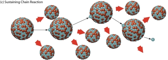 <strong> The chain reaction in this figure is a</strong> A)self-amplifying chain reaction that is used in most U.S.nuclear power plants. B)self-amplifying chain reaction that could lead to a nuclear explosion. C)sustaining chain reaction using control rods,like that used in most U.S.nuclear power plants. D)sustaining reaction without control rods,demonstrating the consequences of no control.