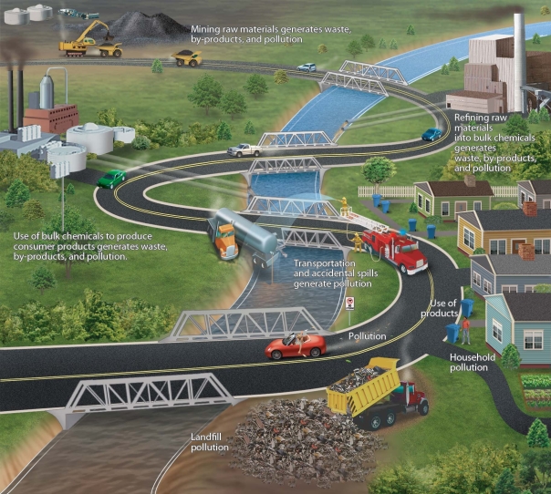 <strong> Of all the sources of pollution noted in this figure,which one releases the greatest amount of toxic substances into the environment?</strong> A)homes B)automobiles C)small businesses D)industrial facilities