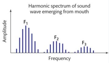 <strong>In this figure illustrating the harmonic spectrum of sound waves emerging from the mouth, the individual peaks in the spectrum labeled as F<sub>1</sub>, F<sub>2</sub>, and F<sub>3</sub> refer to: </strong> A) consonant frequencies. B) formants. C) pitches. D) harmonics.