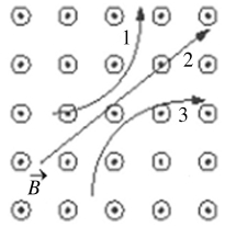 <strong>Three particles travel through a region of space where the magnetic field is out of the page,as shown in the figure.The electric charge of each of the three particles is,respectively, </strong> A) 1 is neutral, 2 is negative, and 3 is positive. B) 1 is neutral, 2 is positive, and 3 is negative. C) 1 is positive, 2 is neutral, and 3 is negative. D) 1 is positive, 2 is negative, and 3 is neutral. E) 1 is negative, 2 is neutral, and 3 is positive.