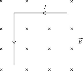 <strong>An L-shaped metal machine part is made of two equal-length segments that are perpendicular to each other and carry a 4.50-A current as shown in the figure.This part has a total mass of 3.80 kg and a total length of 3.00 m,and it is in an external 1.20-T magnetic field that is oriented perpendicular to the plane of the part,as shown.What is the magnitude of the NET magnetic force that the field exerts on the part? </strong> A) 8.10 N B) 11.5 N C) 16.2 N D) 22.9 N E) 32.4 N