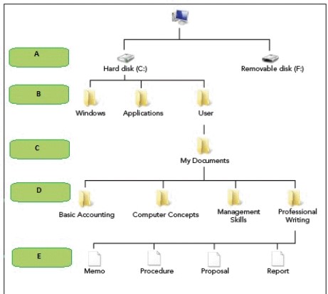 <strong> In the accompanying figure, the box marked ____ indicates the location of the root directory.</strong> A) A B) B C) D D) E