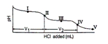 <strong>Consider the following information about the diprotic acid ascorbic acid (H<sub>2</sub>As for short, molar mass = 176.1). The titration curve for disodium ascorbate, Na<sub>2</sub>As, with standard HCl is shown below: What is the pH at point I (V<sub>1</sub>/2 HCl added)?</strong> A) 7.95 B) 12.39 C) 10 D) 11.79 E) none of these