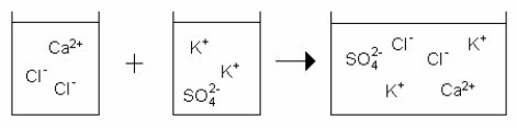 <strong>Which drawing best represents the mixing of aqueous calcium chloride with aqueous potassium sulfate when they are mixed in stoichiometric amounts (neither reactant is limiting)?</strong> A) B) C) D) E)