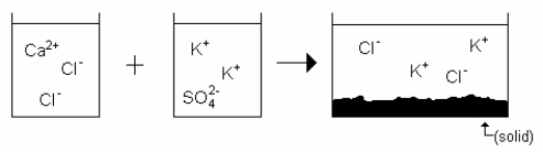 <strong>Which drawing best represents the mixing of aqueous calcium chloride with aqueous potassium sulfate when they are mixed in stoichiometric amounts (neither reactant is limiting)?</strong> A) B) C) D) E)