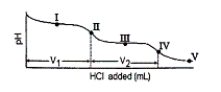 <strong>Consider the following information about the diprotic acid ascorbic acid (H<sub>2</sub>As for short, molar mass = 176.1). The titration curve for disodium ascorbate, Na<sub>2</sub>As, with standard HCl is shown below: What is the pH at point III?</strong> A) 7.95 B) 11.79 C) 12.39 D) 4.10 E) none of these