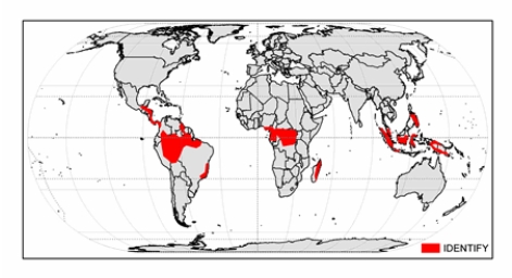 <strong>The climate zone shownon the map below is  </strong> A) tropical monsoon. B) tropical rainforest. C) marine west coast. D) hot low-latitude desert. E) hot low-latitude steppe. <div style=padding-top: 35px> 