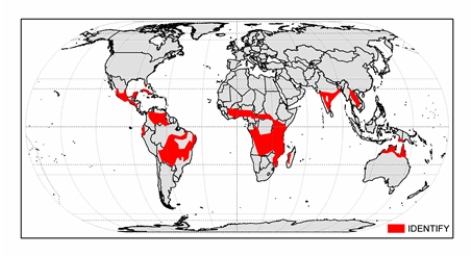 <strong>The climate shown on the map below is  </strong> A) hot low-latitude desert. B) hot low-latitude steppe. C) tropical savanna. D) tropical rainforest. E) tropical monsoon. <div style=padding-top: 35px> 