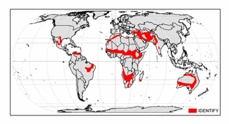 <strong>The climate shown on the map below is  </strong> A) cold midlatitude steppe. B) tropical savanna. C) hot low-latitude desert. D) cold midlatitude desert. E) hot low-latitude steppe. <div style=padding-top: 35px> 