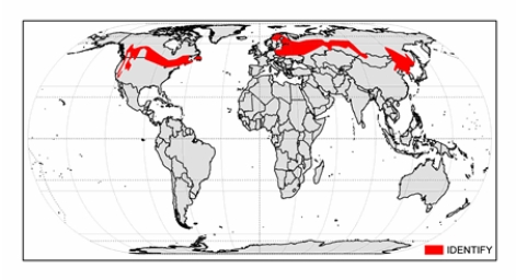 <strong>The climate zone shown on the map is  </strong> A) humid continental mild-summer. B) subarctic. C) humid continental hot-summer. D) humid subtropical hot-summer. E) tundra. <div style=padding-top: 35px> 