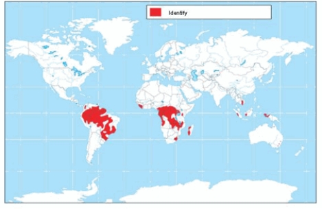 <strong>The soil order shown on the map is </strong> A) andisols. B) ultisols. C) oxisols. D) mollisols. E) aridisols.