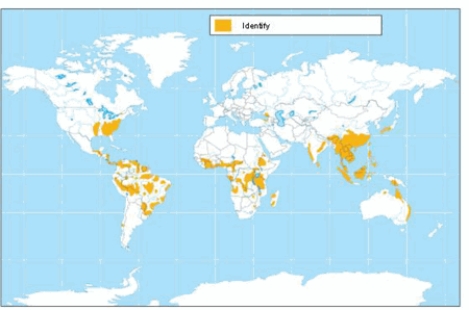 <strong>The soil order shown on the map is </strong> A) andisols. B) alfisols. C) oxisols. D) aridisols. E) ultisols.