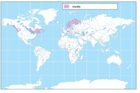 <strong>The soil order shown on the map is </strong> A) alfisols. B) gelisols. C) inceptisols. D) spodosols. E) entisols.