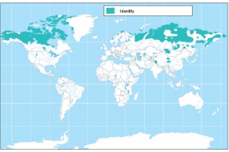 <strong>The soil order shown on the map is </strong> A) andisols. B) inceptisols. C) alfisols. D) gelisols. E) entisols.