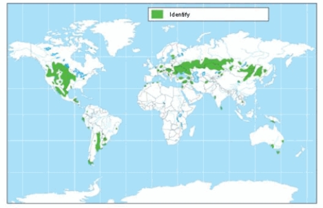 <strong>The soil order shown on the map is </strong> A) alfisols. B) mollisols. C) aridisols. D) spodosols. E) entisols.
