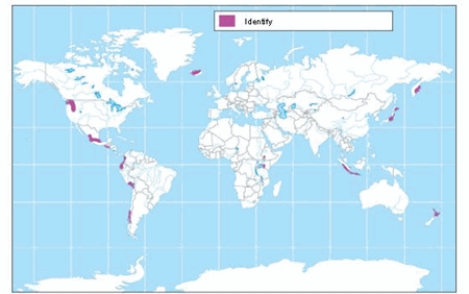 The soil order shown on the map is  