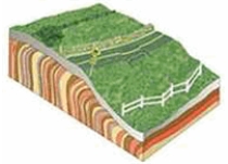<strong>The type of mass wasting depicted is </strong> A) slump. B) rockfall. C) soil creep. D) solifluction. E) mudflow.