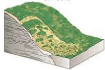<strong>The type of mass wasting depicted is </strong> A) slump. B) rockfall. C) mudflow. D) debris flow. E) solifluction.