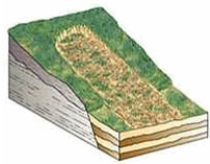 <strong>The type of mass wasting depicted is </strong> A) slump. B) solifluction. C) earthflow. D) debris slide. E) rockfall.