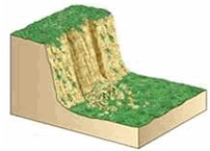 <strong>The type of mass wasting depicted is </strong> A) slump. B) rockfall. C) debris flow. D) solifluction. E) debris slide.