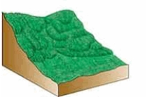 <strong>The type of mass wasting depicted is </strong> A) debris flow. B) earthflow. C) soil creep. D) solifluction. E) mudflow.