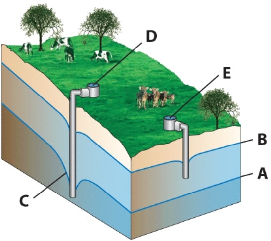 The letter_____ in the following diagram corresponds to the well that will run dry in the dry season and produce water in the wet season.