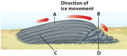 Which letter(s)in the following image represents the leeside of the Roche moutonêe?