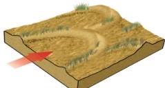 <strong>With wind indicated by the arrow,which type of dune is stabilized by vegetation,as seen in the following image? </strong> A) parabolic B) barchan C) dome D) transverse E) star