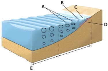 <strong>Which letter in the diagram represents breakers? </strong> A) A B) B C) C D) D