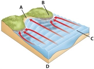 From the accompanying diagram,which letter represents the headland?  