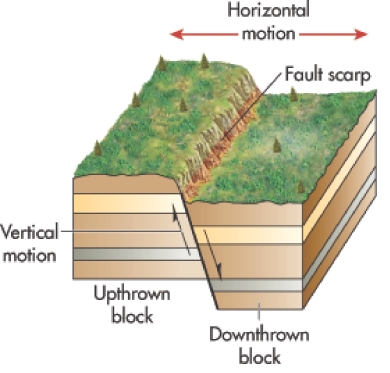 <strong>The illustration below shows a </strong> A) strike-slip fault. B) horst. C) normal fault. D) reverse fault. E) graben.