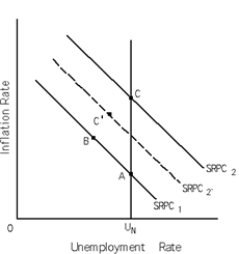 <strong>  Refer to Exhibit 16-3.The economy is at point A.As the result of an unexpected increase in aggregate demand,in the short run,the Friedman natural rate theory would predict</strong> A) movement to point B. B) movement to point C. C) movement to point C'. D) no movement from point A. <div style=padding-top: 35px> 