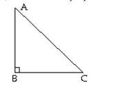 Solve. -Construct the perpendicular bisectors of the right triangle.  