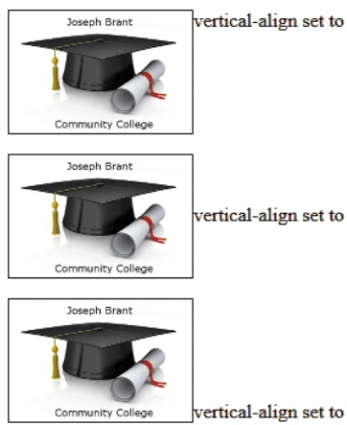<strong> In the accompanying figure,the vertical alignment on the second phrase is set to ____.</strong> A) center B) middle C) baseline D) super
