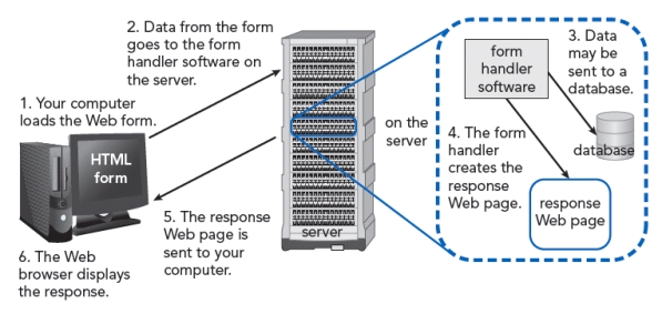 <strong> All of the following are examples of database software that can be used to store and manipulate data in the situation shown in the accompanying figure EXCEPT ____.</strong> A) PHP B) MySQL C) MS SQL D) Oracle