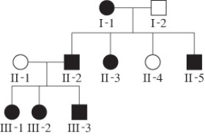 <strong>Filled in circles and square show affected individuals. Select the mode of inheritance for individual III-3. </strong> A) Incomplete dominance B) Codominance C) Pseudoautosomal inheritance D) X-linked inheritance