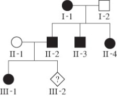 <strong>The pedigree below shows the inheritance pattern of a rare X-linked allele for one family. The filled in circles and squares show affected individuals. What is the probability of individual III-2 being born male and affected? </strong> A) 1/2 B) 1/3 C) 1/4 D) 0