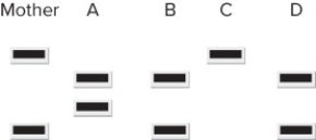 <strong>Polymerase chain reaction (PCR) can be used for many different purposes, including determining paternity. PCR amplifies specific DNA sequences from complex mixtures and can be used to amplify sequences that although they may not have any known function may have several unique sizes and these different forms are inherited according to the Law of Segregation. Below is a diagram of an agarose gel of PCR samples from a mother, and several children. Which letters represent children that could be biologically related to the mother? </strong> A) A, B, and C B) B, C, and D C) A, B, and D D) All of the children could be related to the mother