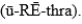 <strong>The pronunciation of the anatomic structures that carries urine from the kidneys to the bladder is the</strong> A) B) C) D).