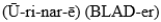 <strong>MATCHING Match each item with the correct description below. organ that temporarily holds the urine,increasing in size as it fills</strong> A) B) C) D) E) F) G)(NEF-ron) H)