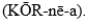 <strong>The pronunciation for the anatomic term that is the opening in the center of the iris is the</strong> A)(lenz). B) C)(RET-i-nah). D)