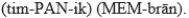 <strong>The pronunciation for the anatomic structure that is the semitransparent membrane that separates the external auditory canal and the middle ear cavity is</strong> A)(LAB-e-rinth). B) C) D)