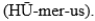 <strong>The upper arm bone is called the</strong> A) B) C) D)