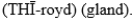 <strong>The pronunciation of the anatomic structure that is approximately the size of a pea and located at the base of the brain is</strong> A) B) C) D)