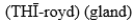 <strong>MATCHING Match each item with the correct description below. stores and releases antidiuretic hormone and oxytocin</strong> A) B) C) D)