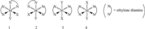 <strong>Consider the following octahedral complex structures,each involving ethylene diamine and two different,unidentate ligands X and Y. Which,if any,of the following pairs are optical isomers?</strong> A)Structures 1 and 2 B)Structures 1 and 3 C)Structures 1 and 4 D)Structures 3 and 4 E)Structures 1,2,3,and 4