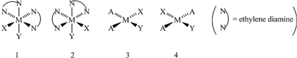 <strong>Consider the following structures (1 and 2 are octahedral; 3 and 4 are square planar). Which one of the following statements about the above structures is correct?</strong> A)Structures 1 and 2 are superimposable. B)Structures 1 and 2 are geometric isomers. C)Structures 3 and 4 are structural isomers. D)Structures 3 and 4 are optical isomers. E)Structures 3 and 4 are geometric isomers.