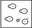 Below is a representation of an aqueous solution of a weak acid HA at equilibrium.(Each circle represents 1.0 ×10<sup>-3</sup> mol of atoms,and the volume of the box is 1.0 L.Solvent water molecules are not shown for clarity.) What is the pH of the solution?