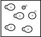 Below is a representation of an aqueous solution of a weak acid HA at equilibrium.(Each circle represents 1.0 ×10<sup>-</sup><sup>3</sup> mol of atoms,and the volume of the box is 1.0 L.Solvent water molecules are not shown for clarity.) What is K<sub>a</sub> of HA?