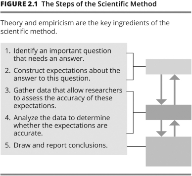 <strong>Which step of the scientific method demonstrates empiricism? </strong> A)Step 1 B)Step 2 C)Step 3 D)Step 5